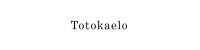 Totokaelo 프로모션 코드 